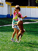 Basenji je hrav� a vesel� kamar�d.